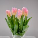 양정시장 이미지