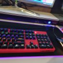 인싸피시 이미지