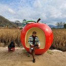 월외 | 마라톤부부 청송나들이 첫날