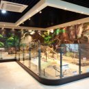 안면도쥬라기공원 이미지