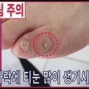 레푸스상무점