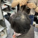 삼익패션타운 | 남대문 중년여성 정수리 부분가발 전문점 | 삼익패션타운 끌레오라미