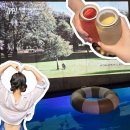 비짓스테이 이미지