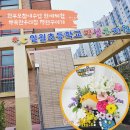 일월초교병설유치원 이미지