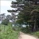 고원목장(2) 이미지