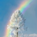 [112] World Scripture - The Human Fall - 2. Catastrophic Consequences 이미지