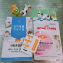 통영동물병원 이미지