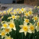 곤명초등학교 이미지