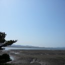 지내섬
