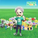 피크민 일기 30 | 2025 피크민 블룸 서울 투어 후기