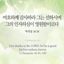 몬테소리치유센터