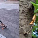 느낌연구소