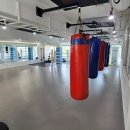 복싱스페이스 중계점 이미지