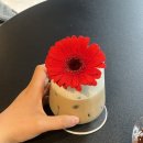 그날의피크닉