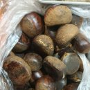 중앙무도장 이미지