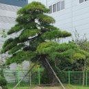 이영호 농장 이미지