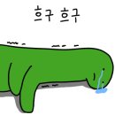 서정성세의원