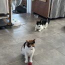 더하우스113(The house 113) 이미지