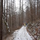 원창고개길 이미지