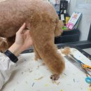 주안5동 행정복지센터 이미지