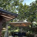 상동물병원 이미지