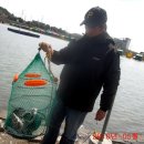 대부도바다낚시터 이미지