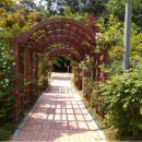 용아로297번길 이미지