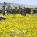 제주엔봄