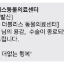 더블리스동물의료센터 이미지