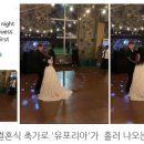 유포리아케이
