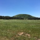 단비목장 이미지