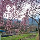 병곡경로당 이미지