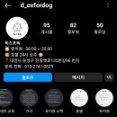 옥스포독 이미지