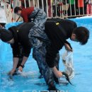 별나라korea