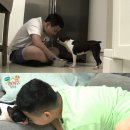 오픈식당 이미지