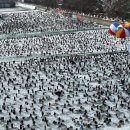 산골마을의 기적... 화천 산천어 축제에 186만명 찾았다 이미지