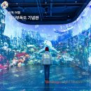 겨울 강원도 삼척 가볼만한곳 실내 여행지 볼거리