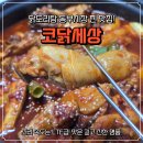 동부사랑의원 | 목포닭도리탕 맛집 코닭세상