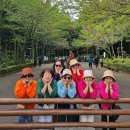 제주여행동아리