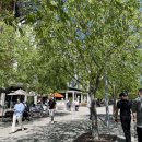 연봉우체국 | 호주 시드니 대기업 머신러닝 AI 개발자 - 연차, 연봉, 기타 사내 복지