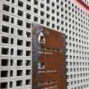 노부스테라 이미지