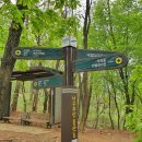 너구리약수터 이미지