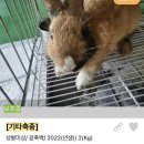 조재진동물병원 이미지