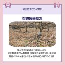 동읍스카이부동산중개사무소 이미지