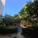 하단동010 이미지