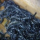 담주할머니 이미지