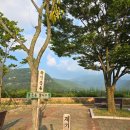 밀양호전망대 | 밀양가볼만한 곳 밀양호 용암정 방문후기