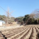 대산면913 이미지