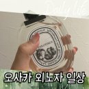 가토헤어 | 오사카 일상 고단백저염식 키오 아부라소바 딥디크 필로시코스 알로헤어밴드 양념치킨 원갈비
