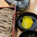 [광고X] 종각역 미슐랭 맛집 '광화문 미진' 혼밥하고 온 솔직 후기